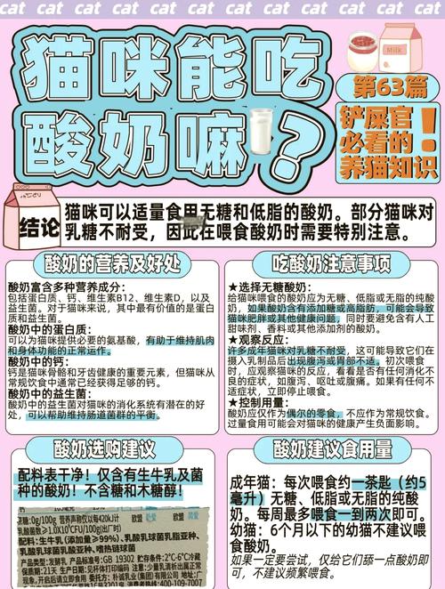 四个月的蓝猫可以喝酸奶吗