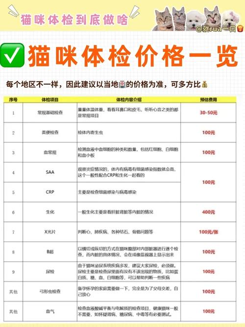 猫咪检查身体多少钱?