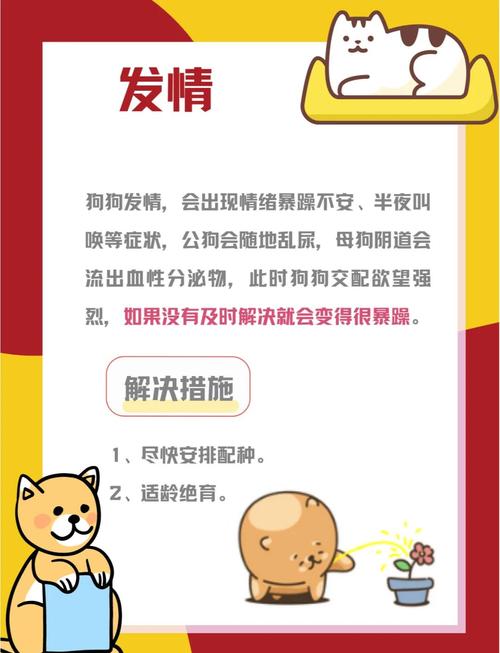 狗狗性格变得暴躁怎么改变