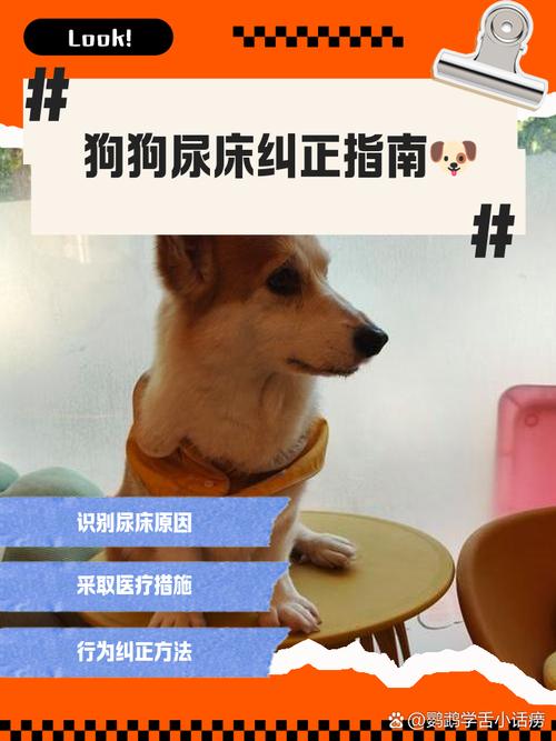 怎样制止狗狗撕咬尿垫