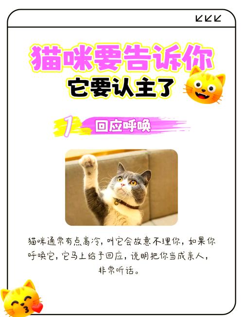 猫咪是通过什么认识主人的
