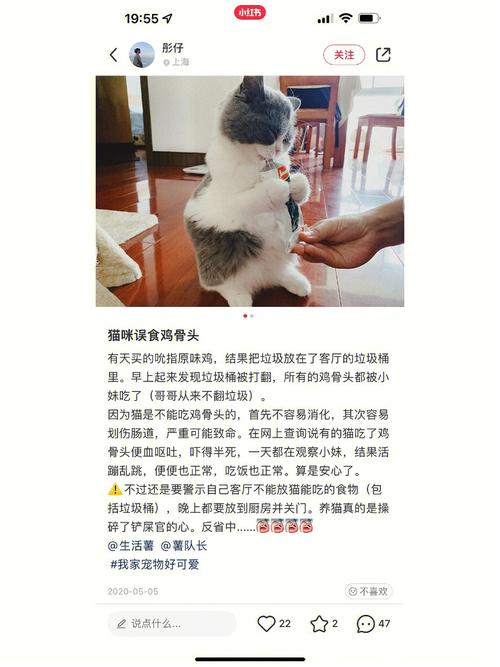 猫吃了鸡骨头几天能消化