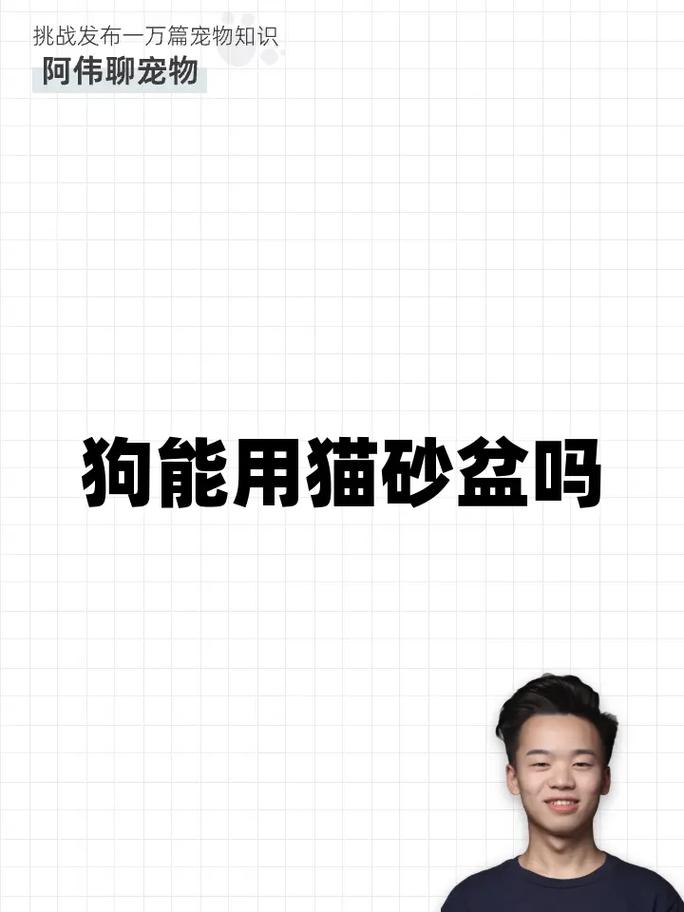 狗可以用猫砂吗?养狗为什么不能用猫砂