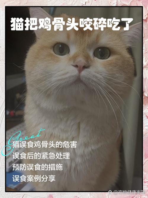 猫把鸡骨头咬碎吃了有事吗?