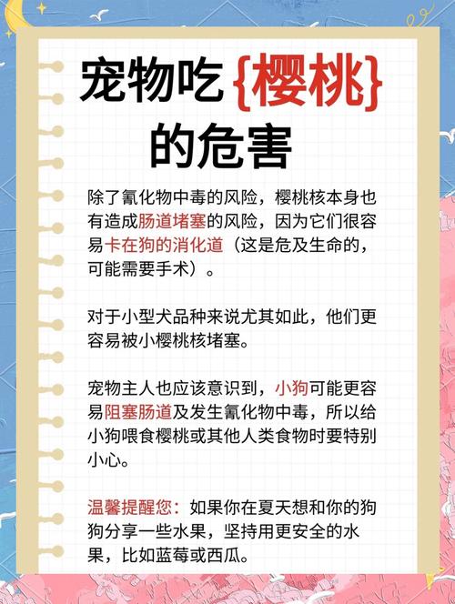 狗不能吃什么水果?