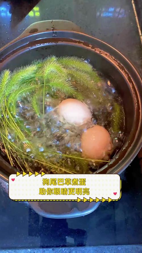 蒸鸡蛋可以给狗狗吃吗?还有这种水煮白菜。