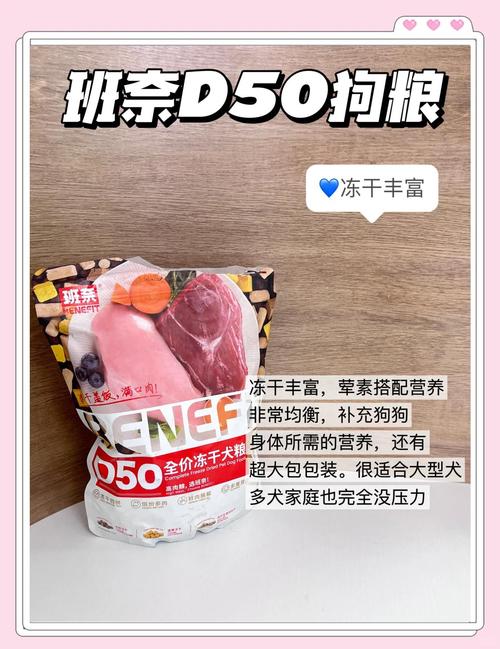 小狗拉稀还能喂养吗