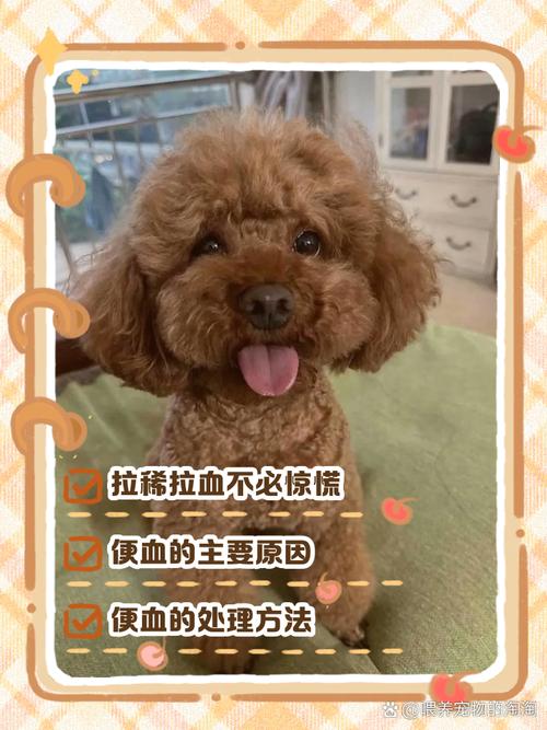 狗拉肚子带血怎么回事