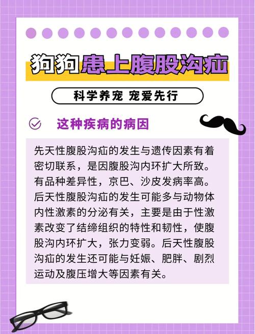 狗狗得了疝气怎么办?