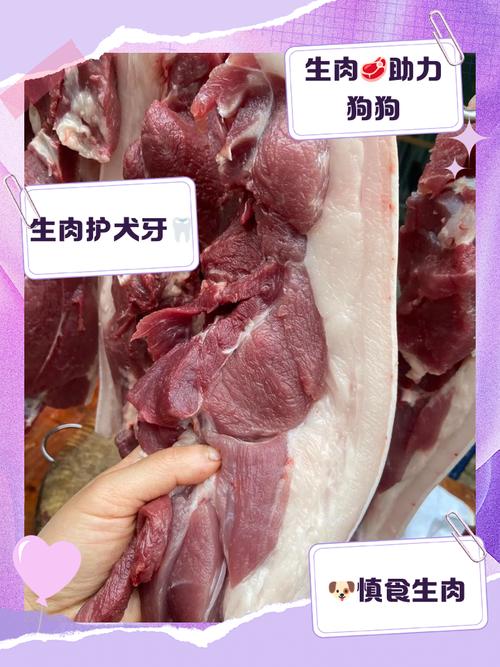 狗狗能吃生肉皮吗