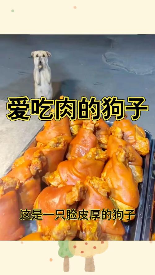 为什么说狗狗吃肉皮