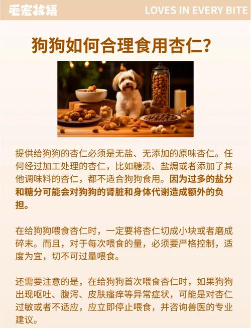 狗狗吃了一粒美国大杏仁会死吗