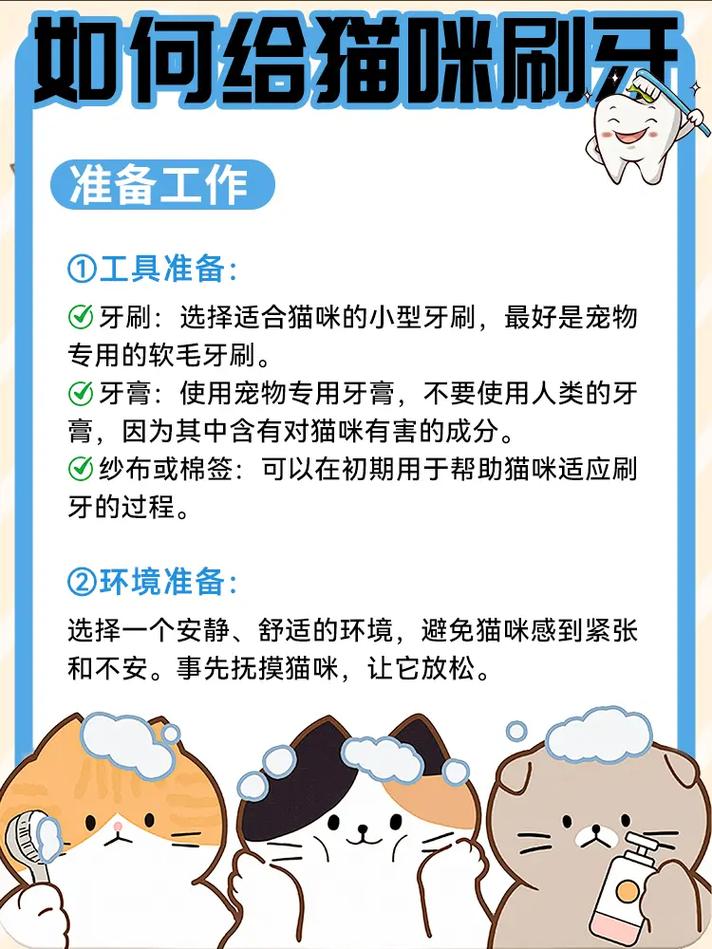猫咪要怎样刷牙