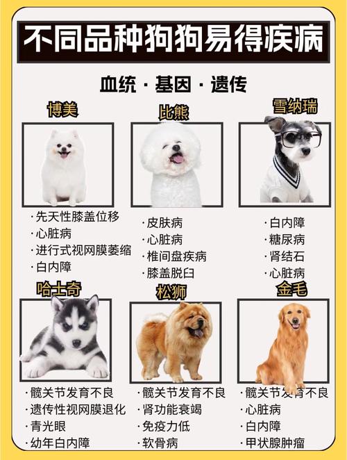 最不易生病的狗狗排名