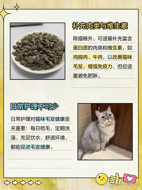 猫咪可以吃什么食物?最适合喂猫的7种食物,绝对让猫吃得开心,吃得...