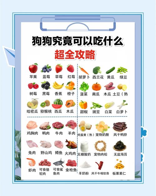 狗狗能吃的水果