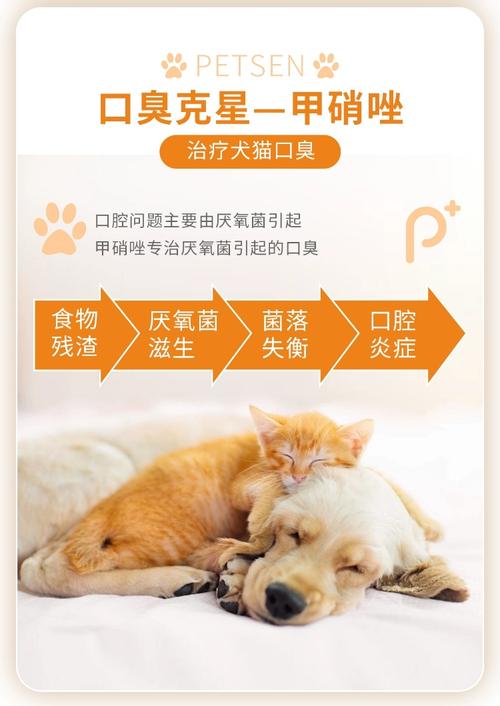 猫牙龈炎怎么治疗?