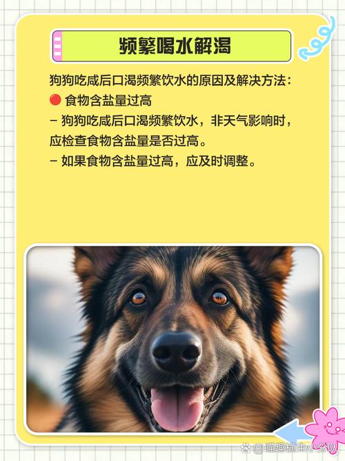 土狗能吃咸的东西吗