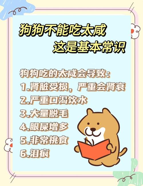 狗狗可以吃盐的东西吗