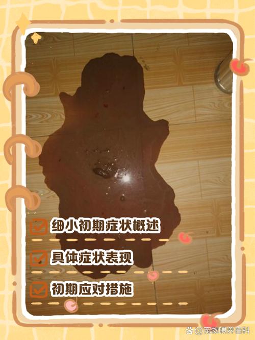 狗狗得了犬细小有什么症状