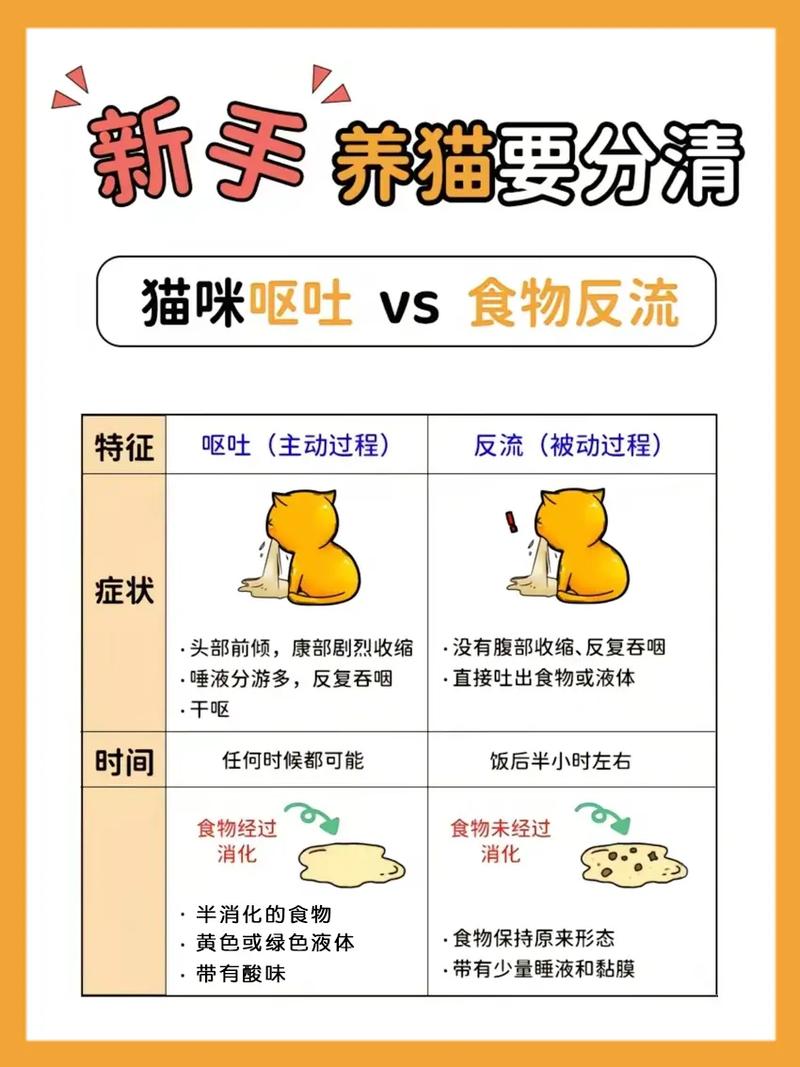 猫咪呕吐、拉稀、精神不好该怎么办?
