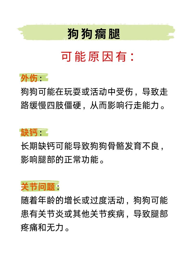 狗腿瘸了自己能恢复吗?