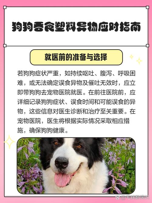 狗狗吞了异物多久排出