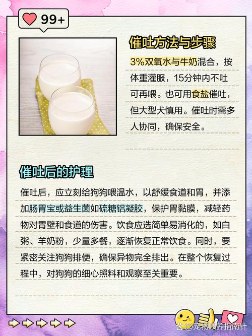 狗狗乱吃东西卡住了怎么办