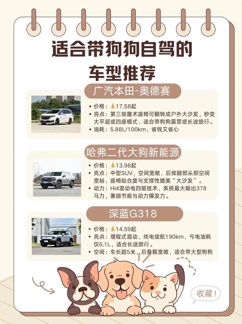 合肥旅游汽车站可以带狗狗上车吗,如果不可以请问有成功带上去的吗,教...