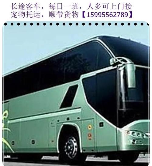 坐汽车可以带狗吗?