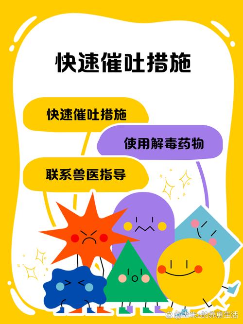 狗狗喝了一点84消毒液怎么办