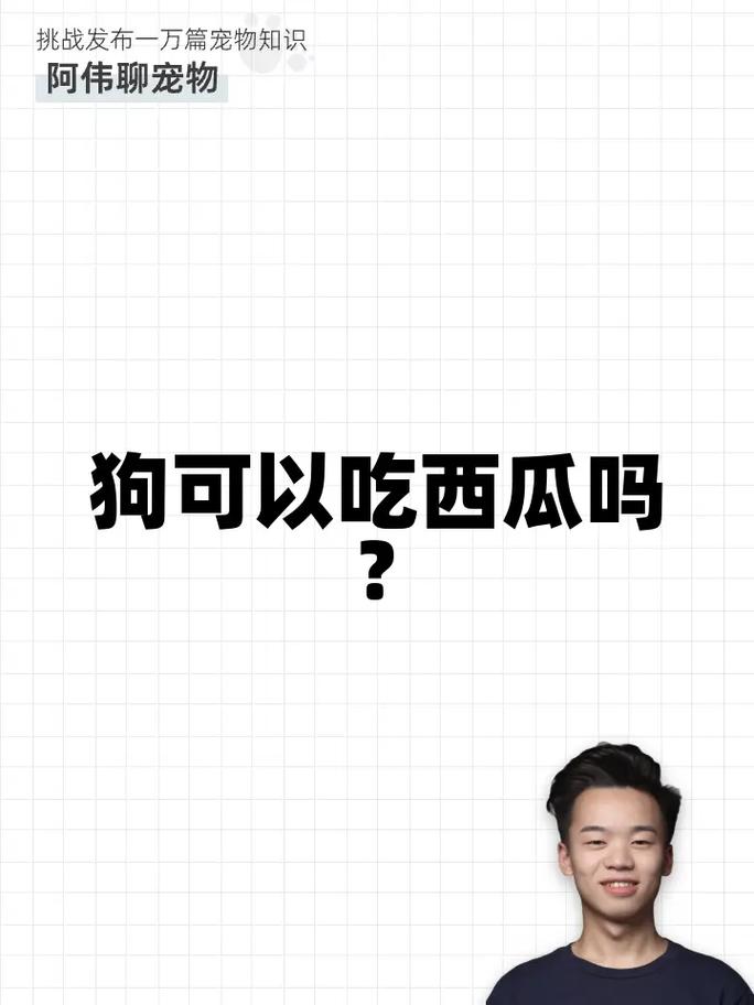 狗狗能吃西瓜吗?