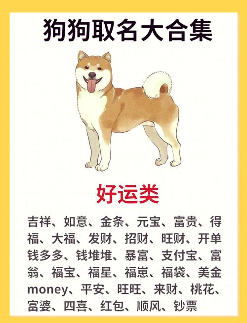 给狗狗取个逗比的名字