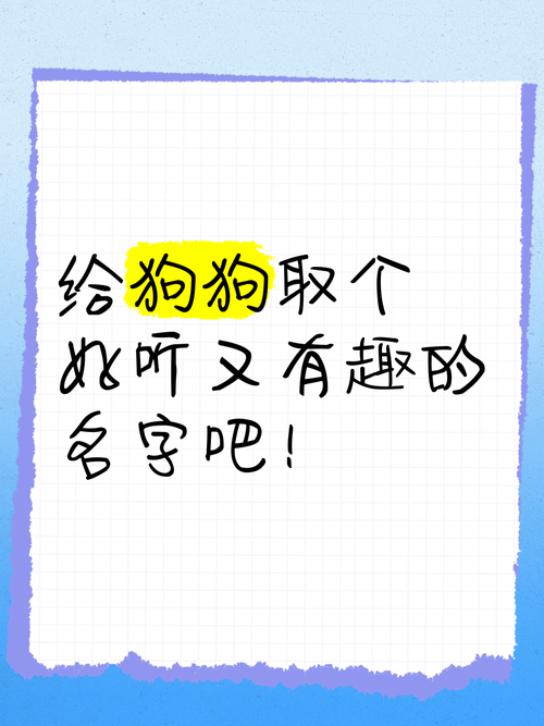 比特犬起什么名字霸气