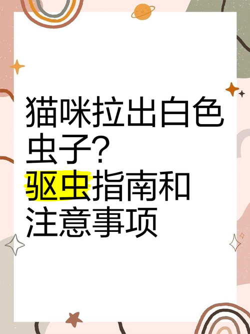 猫咪拉出了白色的虫子要怎么办?