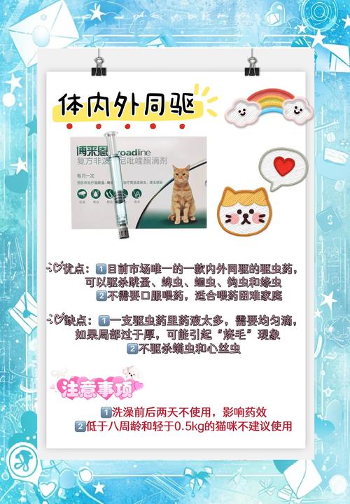 小猫拉虫子怎么办