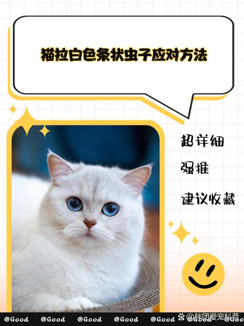 猫拉虫子长条白色的怎么办