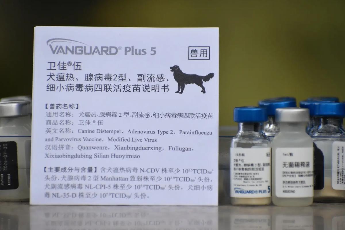 怎样预防狗狗细小和犬瘟