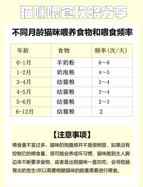 小猫吃猫粮应该吃多少?