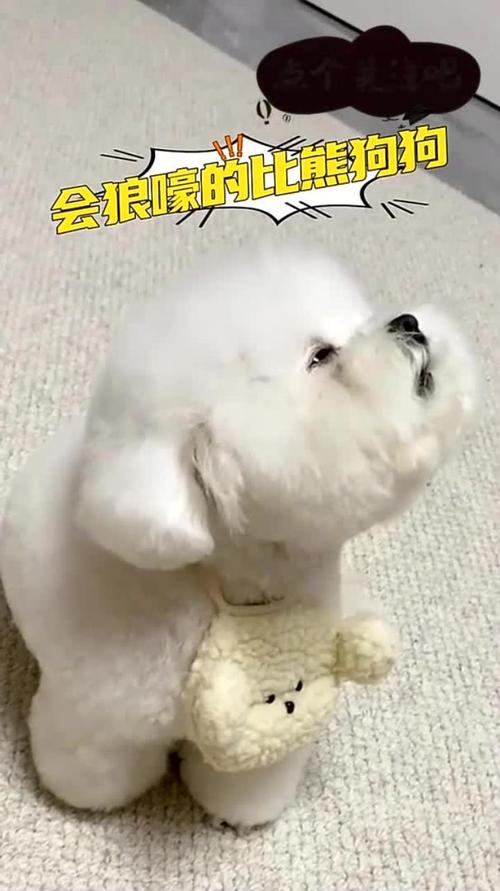 狗狗为啥会向着天发出类似狼叫的凄惨的、鬼哭狼嚎的叫声???