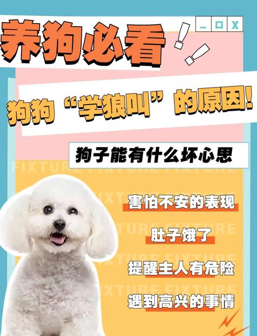 土狗狼嚎对主人不吉利吗