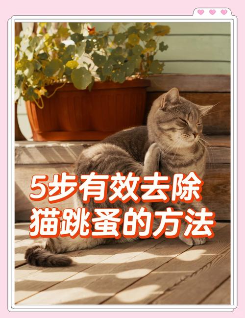 猫身上有跳蚤可以把毛剃光吗