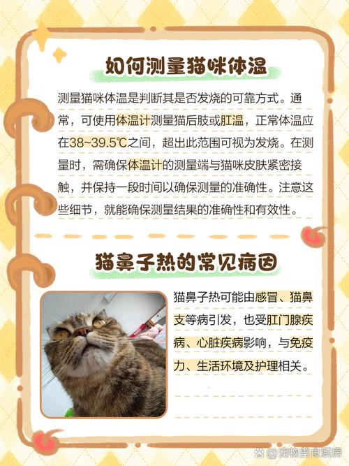 猫咪鼻子热热的怎么回事