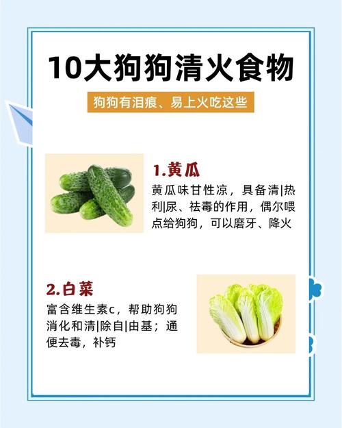 狗狗吃什么药去火