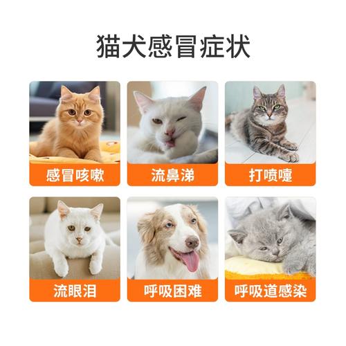 狗上火最怕三个药