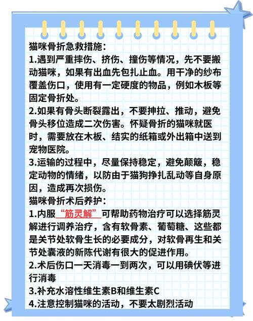...要不要紧啊?要不要做手术啊?手术多少钱左右?