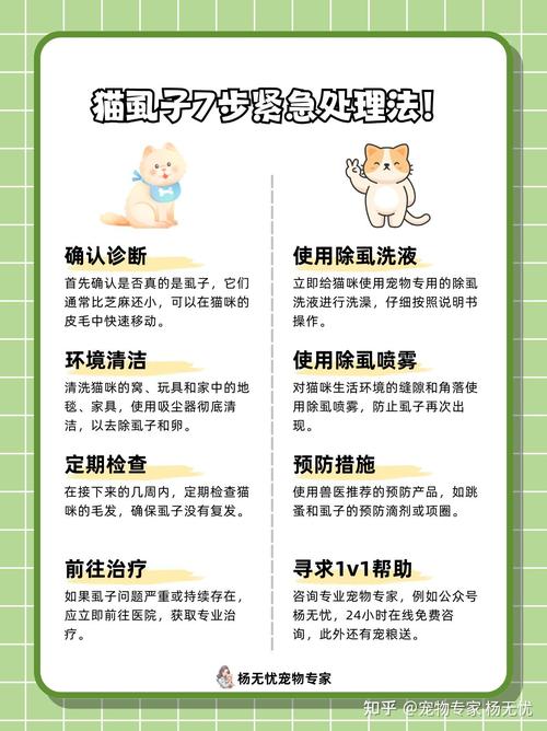 猫身上长虱子怎么去除干净