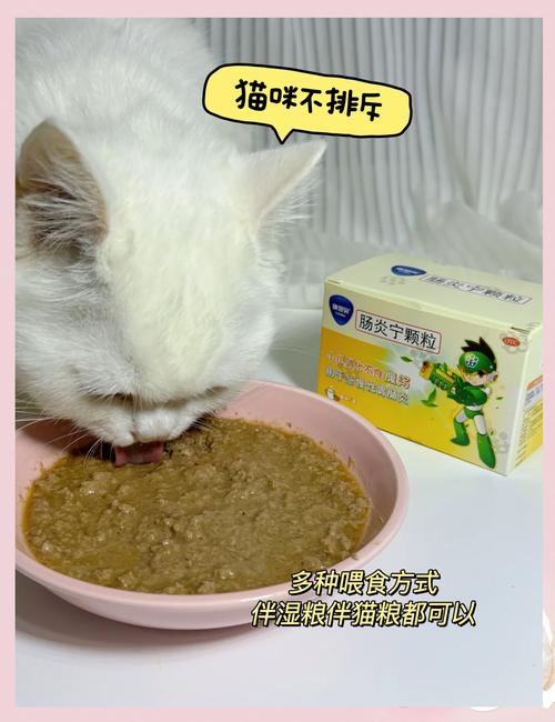 猫咪拉肚子吃什么