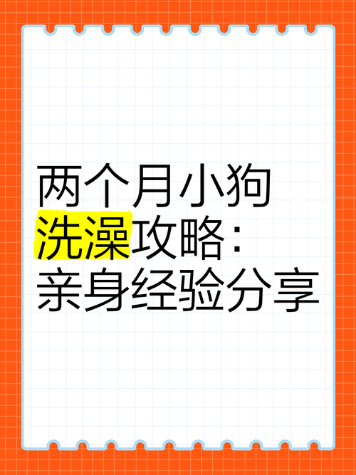 2个月的狗狗能洗澡吗