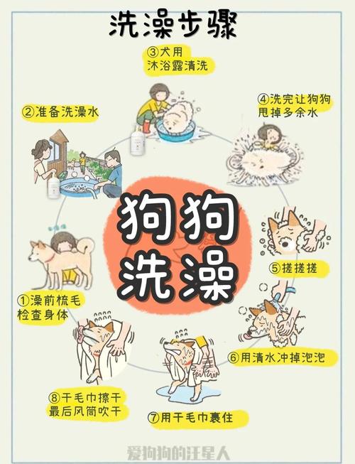 两个月狗狗能不能用温水洗澡